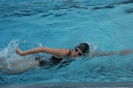 Schwimmtraining 2008