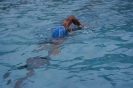 Schwimmtraining 2008