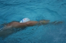 Schwimmtraining 2008