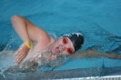 Schwimmtraining 2008