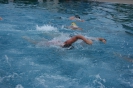 Schwimmtraining 2008